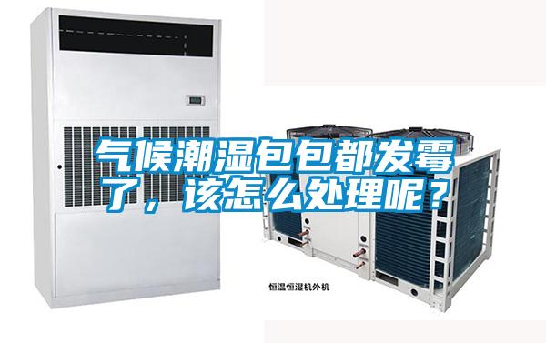 氣候潮濕包包都發(fā)霉了，該怎么處理呢？