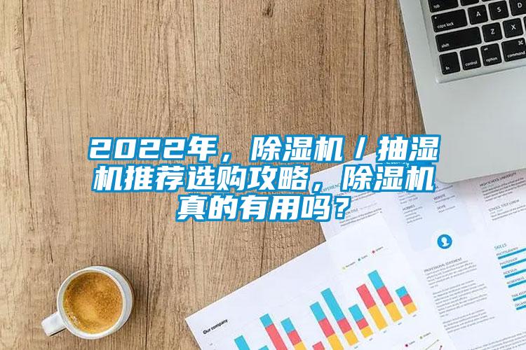 2022年，除濕機／抽濕機推薦選購攻略，除濕機真的有用嗎？