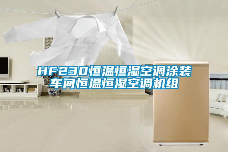 HF230恒溫恒濕空調(diào)涂裝車間恒溫恒濕空調(diào)機組