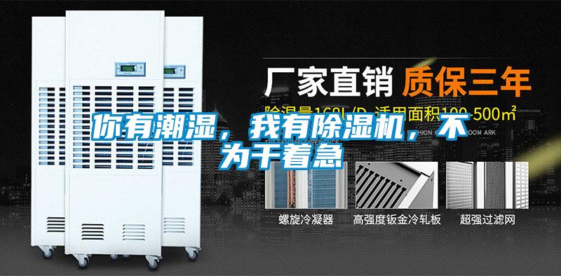 你有潮濕，我有除濕機(jī)，不為干著急