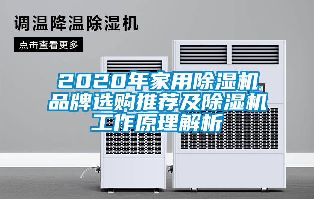 2020年家用除濕機(jī)品牌選購(gòu)?fù)扑]及除濕機(jī)工作原理解析