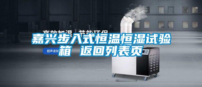 嘉興步入式恒溫恒濕試驗(yàn)箱 返回列表頁