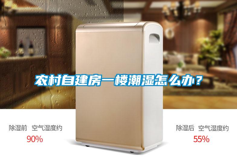 農村自建房一樓潮濕怎么辦？