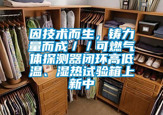 因技術(shù)而生，鑄力量而成／／可燃?xì)怏w探測(cè)器閉環(huán)高低溫、濕熱試驗(yàn)箱上新中
