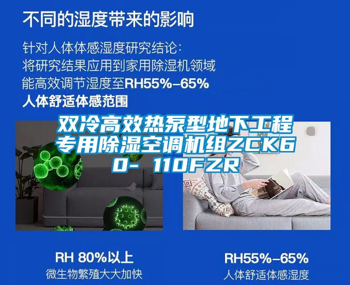 雙冷高效熱泵型地下工程專用除濕空調(diào)機組ZCK60- 110FZR