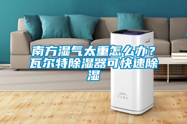 南方濕氣太重怎么辦？瓦爾特除濕器可快速除濕