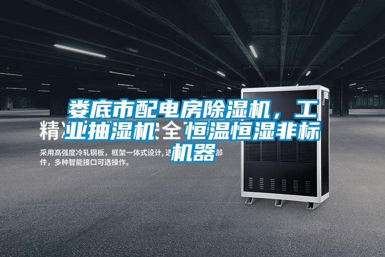 婁底市配電房除濕機(jī)，工業(yè)抽濕機(jī)  恒溫恒濕非標(biāo)機(jī)器