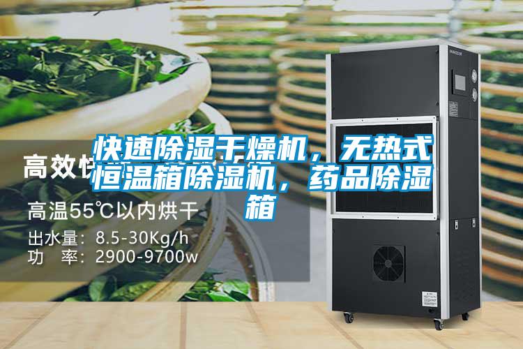 快速除濕干燥機，無熱式恒溫箱除濕機，藥品除濕箱
