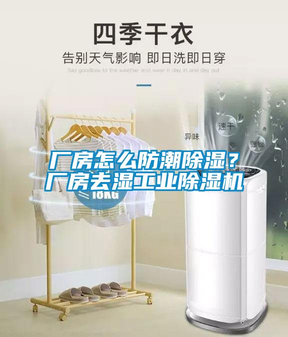 廠房怎么防潮除濕？廠房去濕工業(yè)除濕機(jī)