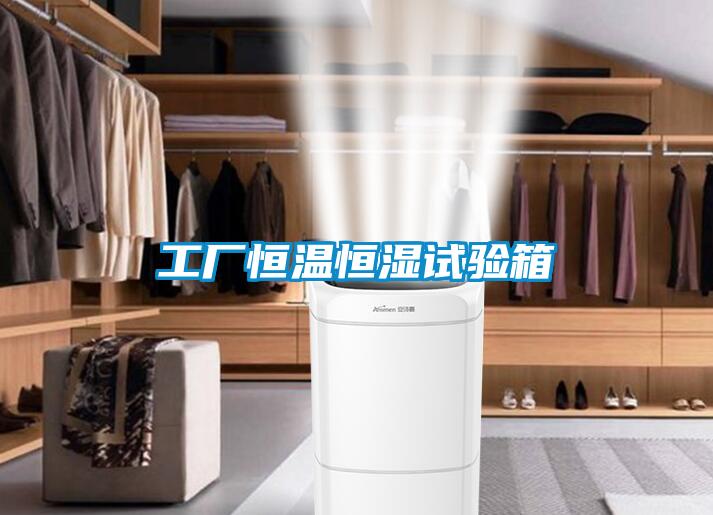 工廠恒溫恒濕試驗(yàn)箱