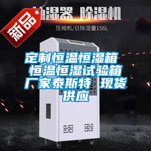 定制恒溫恒濕箱 恒溫恒濕試驗(yàn)箱廠家泰斯特 現(xiàn)貨供應(yīng)