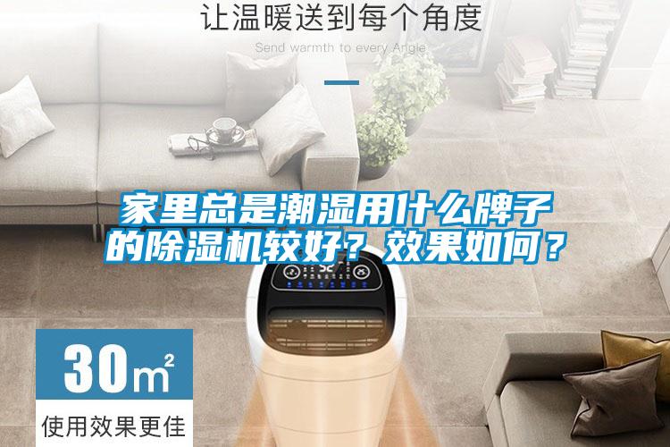 家里總是潮濕用什么牌子的除濕機較好？效果如何？
