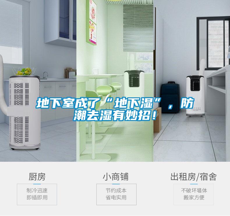 地下室成了“地下濕”，防潮去濕有妙招！