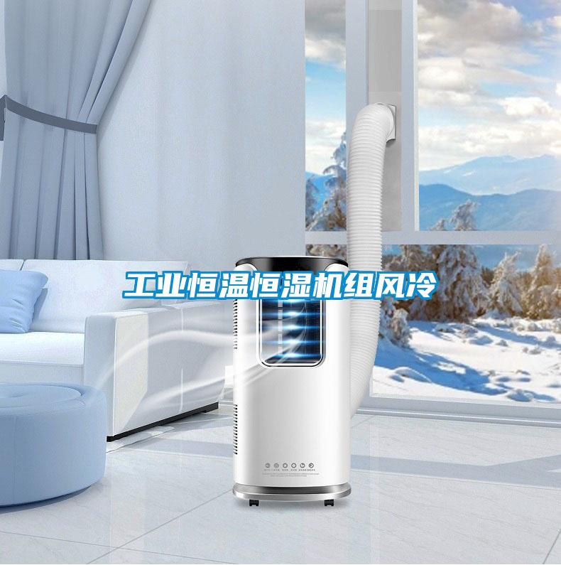 工業(yè)恒溫恒濕機組風(fēng)冷