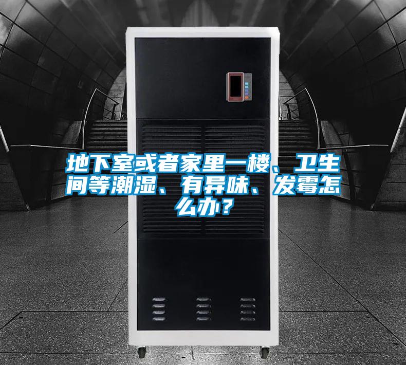 地下室或者家里一樓、衛(wèi)生間等潮濕、有異味、發(fā)霉怎么辦？