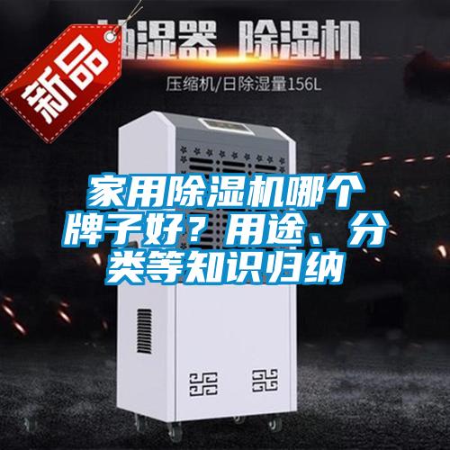 家用除濕機哪個牌子好？用途、分類等知識歸納