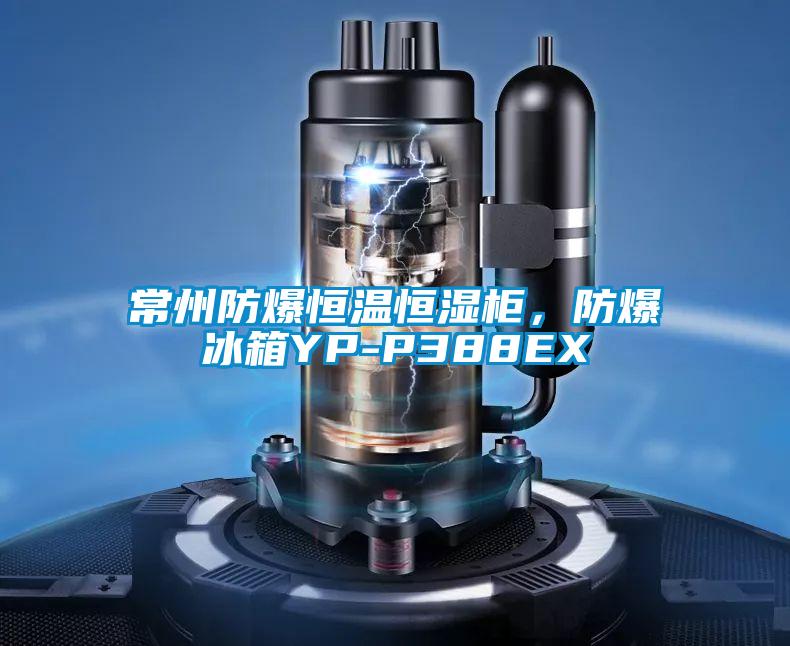 常州防爆恒溫恒濕柜，防爆冰箱YP-P388EX