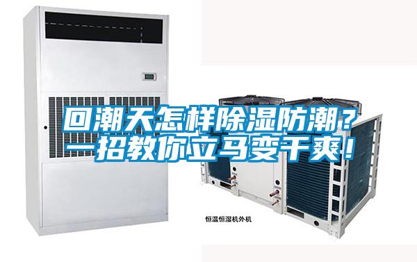 回潮天怎樣除濕防潮？一招教你立馬變干爽！