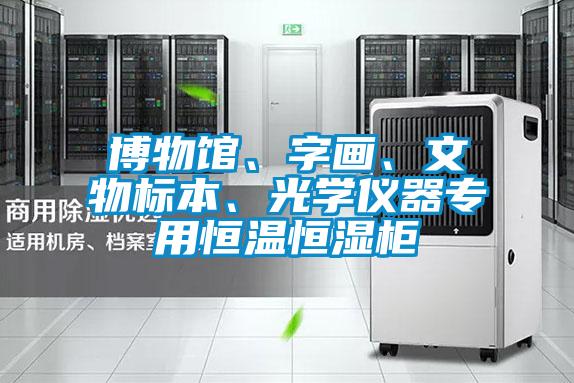博物館、字畫、文物標(biāo)本、光學(xué)儀器專用恒溫恒濕柜