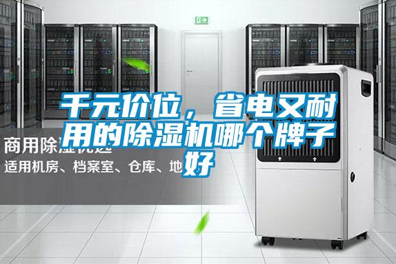 千元價(jià)位，省電又耐用的除濕機(jī)哪個牌子好