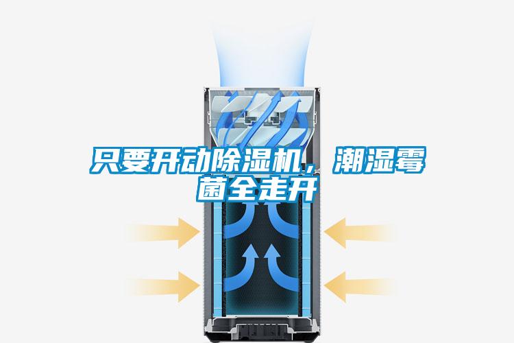 只要開動(dòng)除濕機(jī)，潮濕霉菌全走開