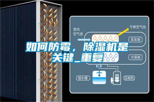 如何防霉，除濕機(jī)是關(guān)鍵_重復(fù)