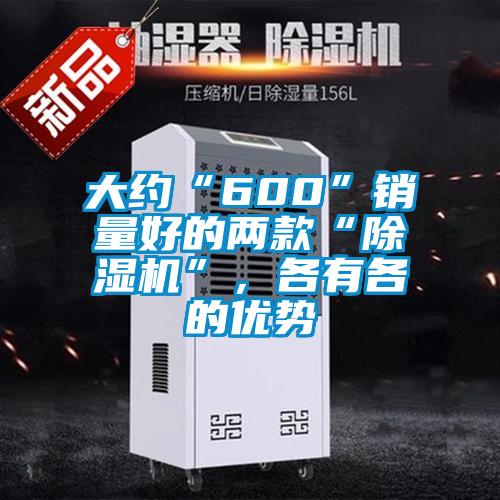 大約“600”銷量好的兩款“除濕機”，各有各的優(yōu)勢