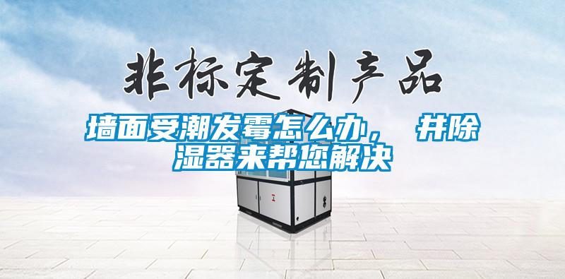墻面受潮發(fā)霉怎么辦，東井除濕器來(lái)幫您解決