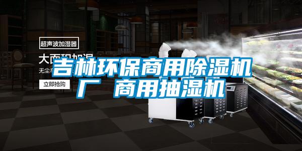 吉林環(huán)保商用除濕機廠 商用抽濕機