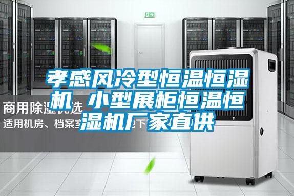 孝感風(fēng)冷型恒溫恒濕機(jī) 小型展柜恒溫恒濕機(jī)廠(chǎng)家直供