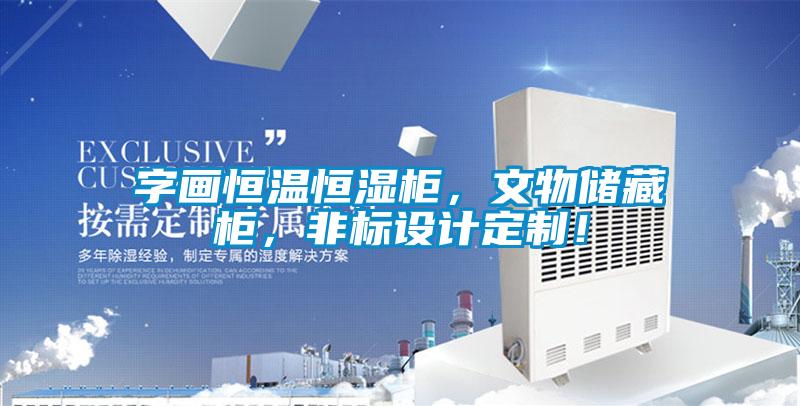 字畫恒溫恒濕柜，文物儲(chǔ)藏柜，非標(biāo)設(shè)計(jì)定制！