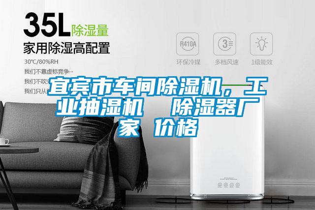 宜賓市車間除濕機，工業(yè)抽濕機  除濕器廠家 價格