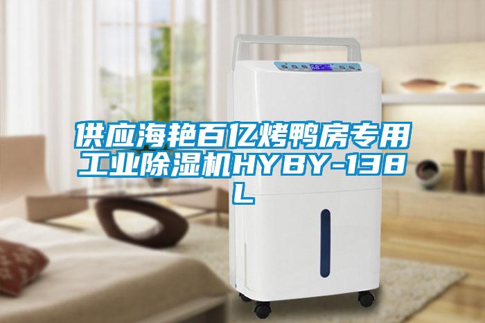 供應(yīng)海艷百億烤鴨房專用工業(yè)除濕機HYBY-138L