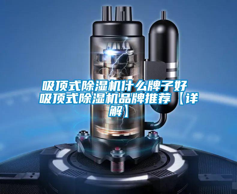 吸頂式除濕機(jī)什么牌子好 吸頂式除濕機(jī)品牌推薦【詳解】
