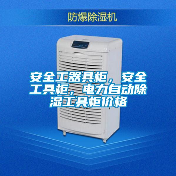 安全工器具柜，安全工具柜，電力自動(dòng)除濕工具柜價(jià)格