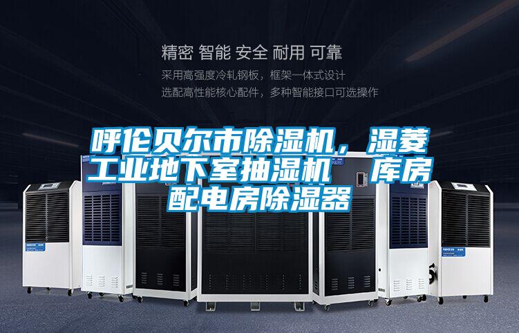 呼倫貝爾市除濕機(jī)，濕菱工業(yè)地下室抽濕機(jī)  庫(kù)房配電房除濕器