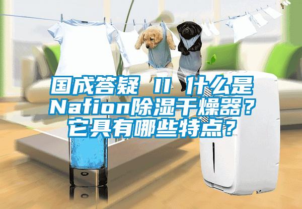國成答疑 II 什么是Nafion除濕干燥器？它具有哪些特點(diǎn)？