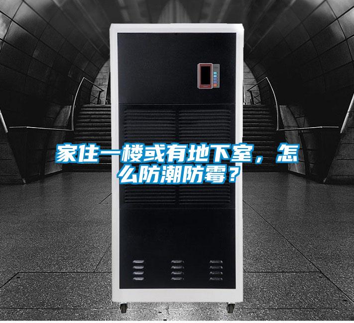 家住一樓或有地下室，怎么防潮防霉？