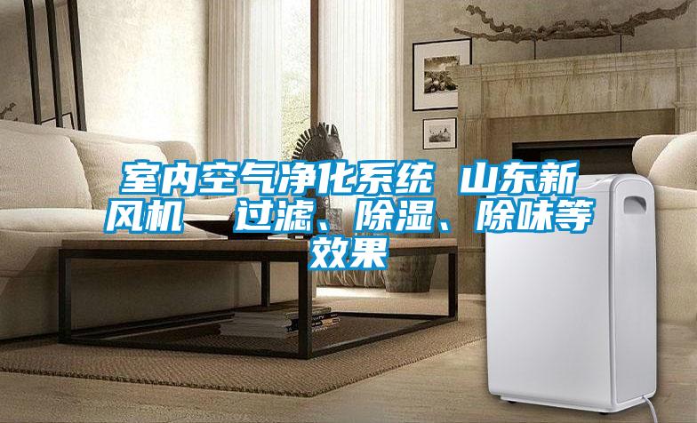室內(nèi)空氣凈化系統(tǒng) 山東新風(fēng)機(jī)  過(guò)濾、除濕、除味等效果