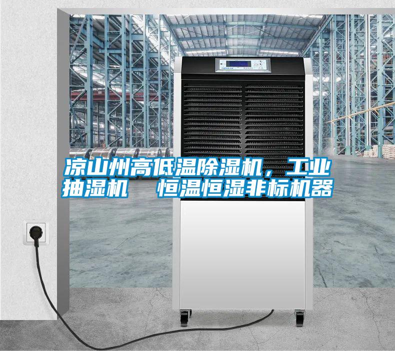 涼山州高低溫除濕機，工業(yè)抽濕機  恒溫恒濕非標機器
