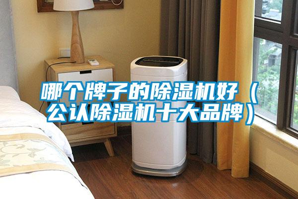 哪個牌子的除濕機好（公認(rèn)除濕機十大品牌）