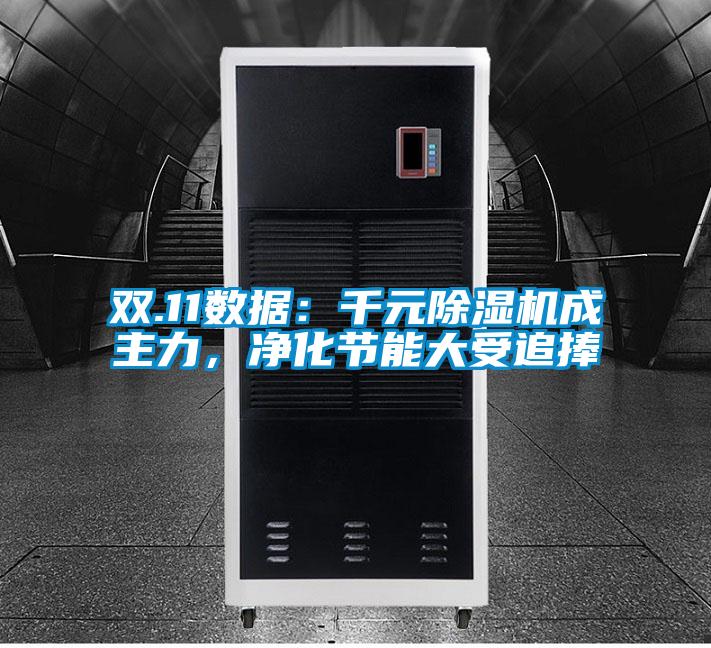 雙.11數(shù)據(jù)：千元除濕機(jī)成主力，凈化節(jié)能大受追捧