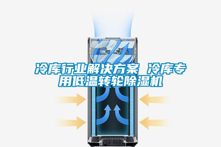 冷庫行業(yè)解決方案 冷庫專用低溫轉(zhuǎn)輪除濕機