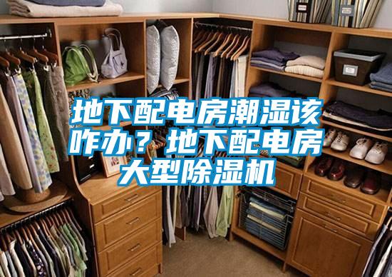 地下配電房潮濕該咋辦？地下配電房大型除濕機(jī)