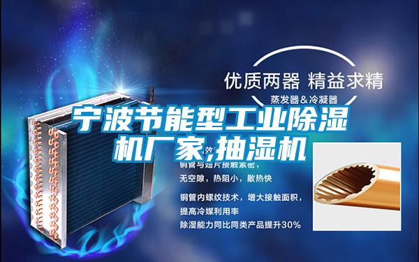 寧波節(jié)能型工業(yè)除濕機廠家,抽濕機