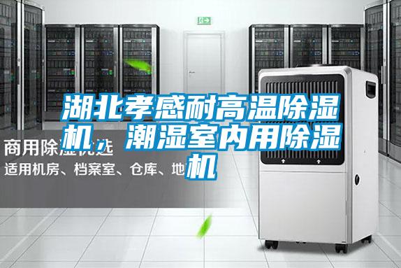 湖北孝感耐高溫除濕機(jī)，潮濕室內(nèi)用除濕機(jī)