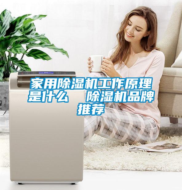 家用除濕機(jī)工作原理是什么  除濕機(jī)品牌推薦
