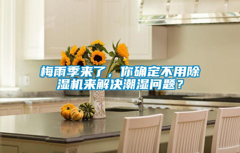 梅雨季來了，你確定不用除濕機來解決潮濕問題？