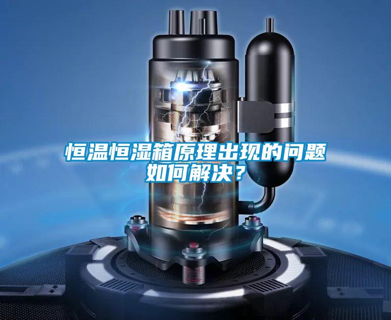 恒溫恒濕箱原理出現(xiàn)的問(wèn)題如何解決？