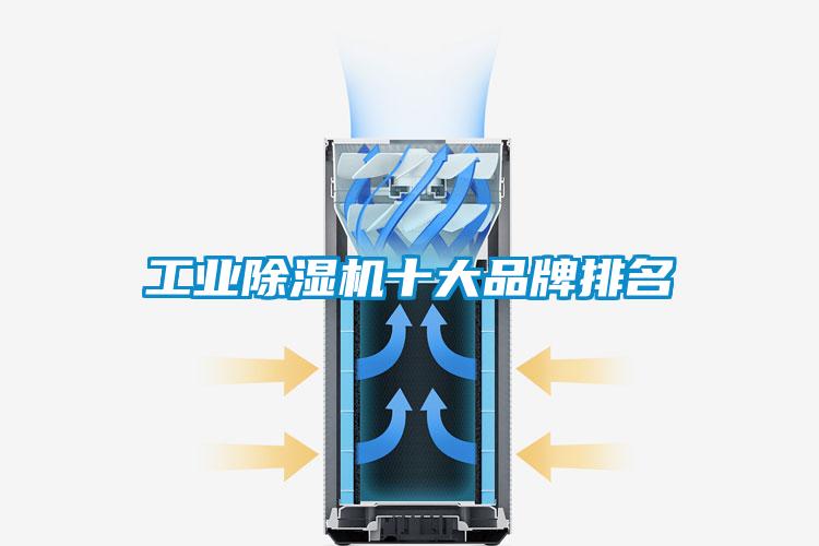 工業(yè)除濕機十大品牌排名